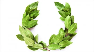 Quel homme historique aimait se parer d'une couronne de feuilles de laurier ?
