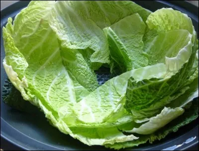 Qu'appelle-t-on familièrement une feuille de chou ?