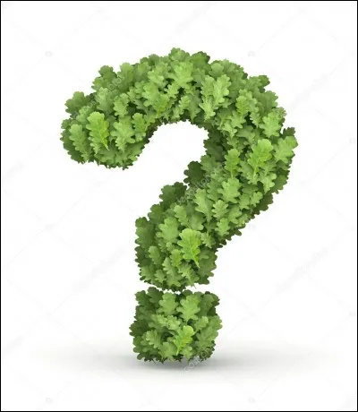 Que signifie l'expression 'Être dur de la feuille' ?