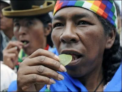 Depuis 2013, le 12 mars est devenu la Journée nationale de la mastication de la feuille de coca dans quel pays ?