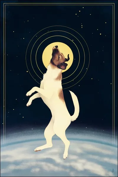 Le premier être vivant à avoir été envoyé dans l'espace est un chien.