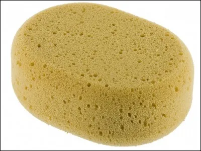 Il faut ajouter quelle lettre &agrave; "lufa" pour que cela devienne une plante ?