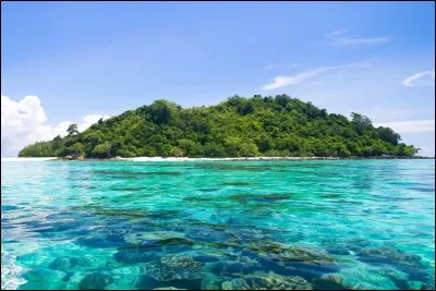 À l'idée que tu puisses demeurer toute ta vie sur cette île, que penses-tu ?