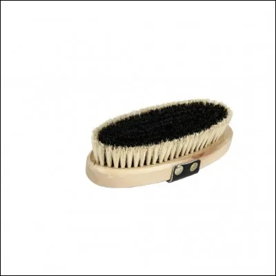 Comment s'appelle cette brosse ?