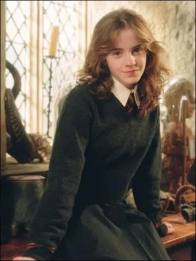 Lors de quelle année Hermione prend-elle un chat ?
