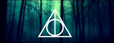 Quelle est la première relique que Harry a possédée ?