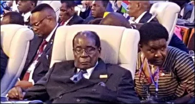 Le président Léopold s'égard, s'endort.