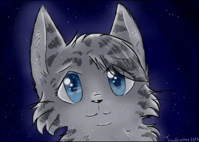 Devenant apprentie, de qui Nuage de Colombe tombe-t-elle amoureuse ?