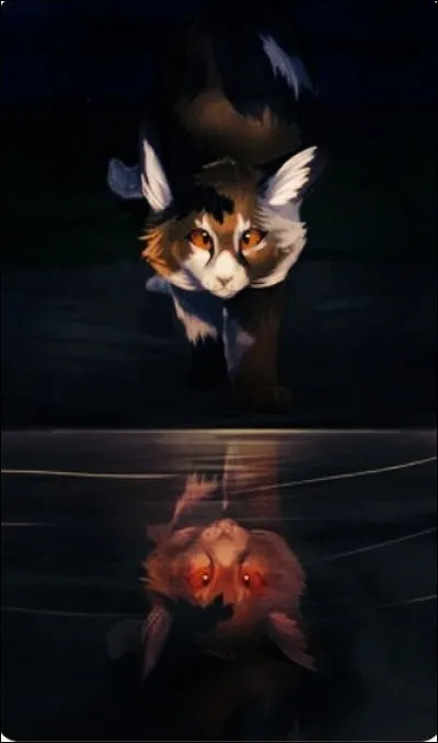 Qui Nuage de Lis a-t-elle comme mentor dans la Forêt Sombre ?