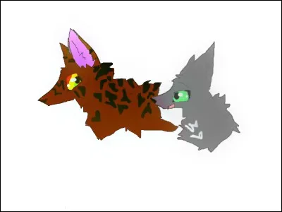 Dans quel tome Aile de Colombe cesse-t-elle de voir Cur de Tigre ?