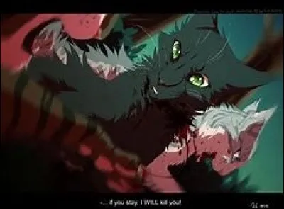 Pourquoi Feuille de Lis a-t-elle peur de la Forêt Sombre ?