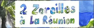 Dans les départements, régions et collectivités de la France outre-mer, que désigne le terme "zoreille" ?