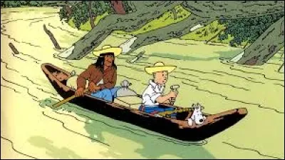 Quel est le titre de cet album de Tintin ?