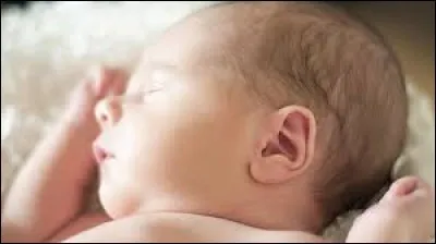 Laquelle de ces trompes est située dans l'oreille ?