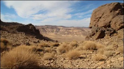 De quel pays le Tibesti est-il une région ?