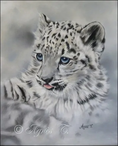 Si tu devais être un animal, tu serais...