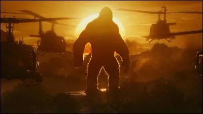Quel film sur King Kong n'existe pas ?
