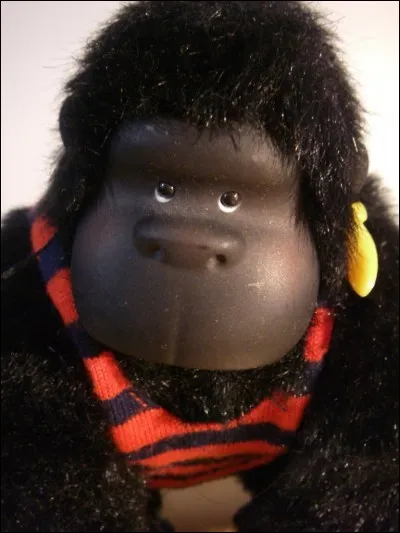 Qui chante "C'est pas moi c'est Murphy" ?