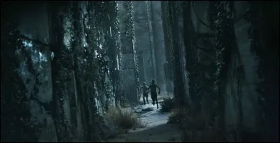 Comment s'appellent les bêtes dans le labyrinthe ?