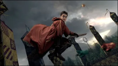 Durant un match de Quidditch, quel est le rôle d'un attrapeur ?