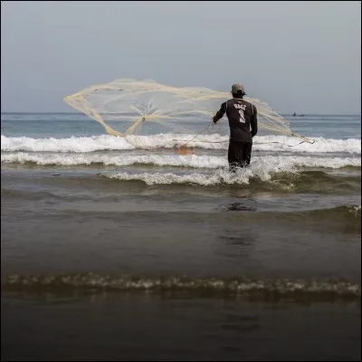 Qu'est-ce qu'un épervier ?