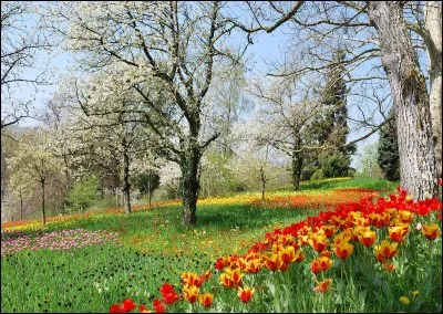 Après l'hiver, vient le printemps. Comment traduiriez-vous cette saison ?