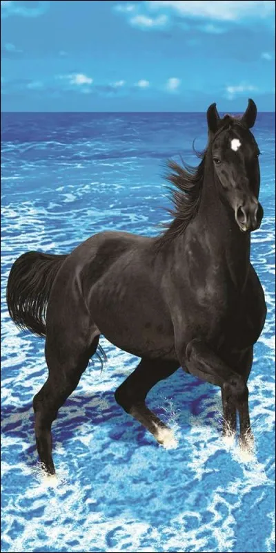 Qu'il ... beau, ce cheval noir. Il ... une tache blanche sur la tête.
