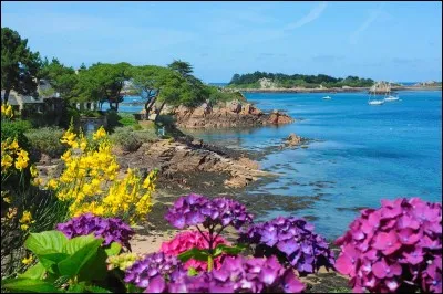 Quelle est cette petite île des Côtes-d'Armor surnommée 'L'île aux fleurs' ?