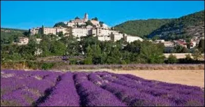 Derrière le champ de lavande, vous avez Thoard. Village Bas-Alpin, il se situe en région ...