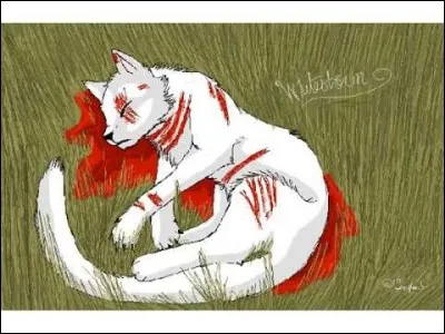 Qui va mourir au cours du p&eacute;riple ?