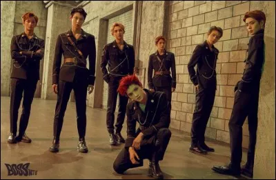 Comment te décrirais-tu ?