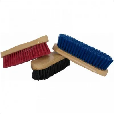 Comment appelle-t-on cette brosse ?