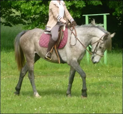 Quand tu tournes au milieu d'une carrière, comment appelles-tu ça ?