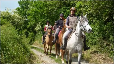 Qu'est-ce qu'une demi-volte ?