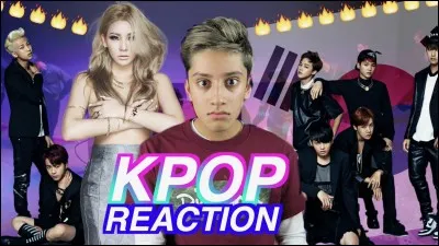 Sur la chaîne de quel youtubeur a été postée cette vidéo ?