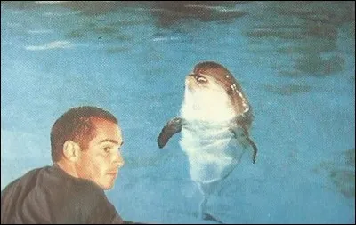 Qui est le réalisateur, français, de ce film ?