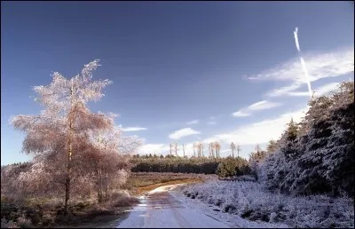 Quelle réaction naturelle au froid possède le corps humain ?