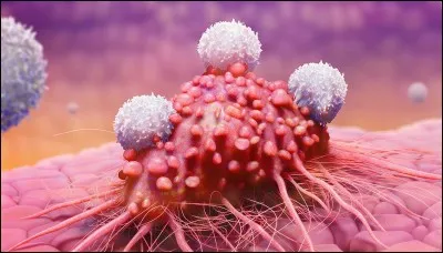 Quel système de défense biologique naturel protège le corps contre la maladie et se bat contre les microbes ?