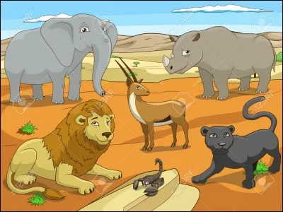 Quel nom désigne un groupe d'animaux similaires qui peuvent se reproduire entre eux ?