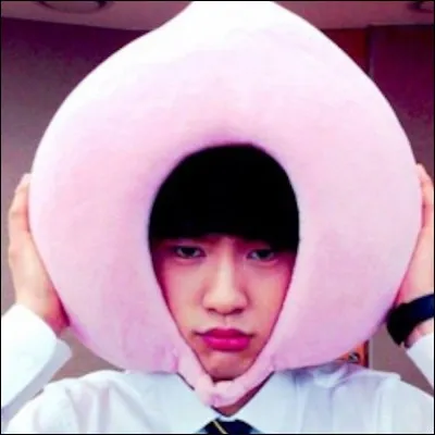 Quel membre du groupe est connu pour être déterminé ?