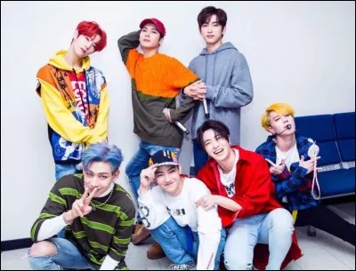 Qui est le visuel du groupe ?