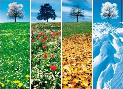 Pendant quelle saison es-tu né ?