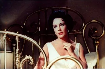 Quel est le titre de ce film ?