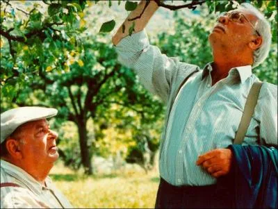 Quel est le titre de ce film ?