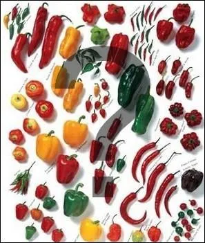 Pour faire les couleurs, les 'peintres' utilisaient des piments.