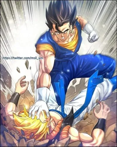 Préfères-tu Vegeta ou Goku ?
