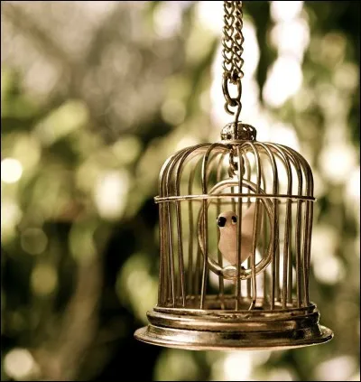 __, nous voulons les préserver 
Les faire grandir dans une petite cage dorée...