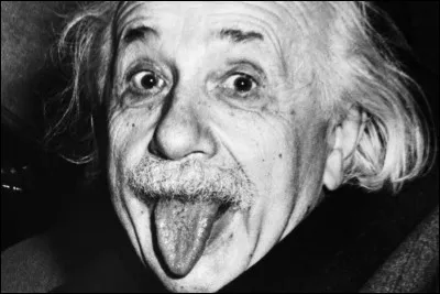 Quelle théorie Einstein, l'un des moustachus les plus célèbres de l'histoire, a-t-il élaborée ?