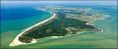 Tu te retrouves sur une île déserte, que fais-tu ?