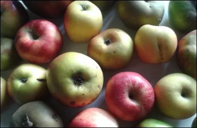 Qu'est-ce qui est représenté sur cette image ?